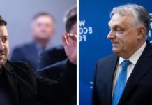 «Заслуживает подзатыльник»: Зеленский подколол Орбана в Давосе, тот отреагировал (видео)