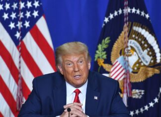 Трамп приказал военному командованию разработать план вторжения в Гренландию, — Daily Mail