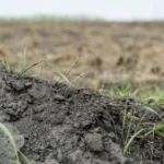 На Херсонщині у 2025 році збитки у злочинах проти довкілля склали близько 100 мільйонів гривень