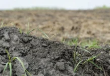 На Херсонщині у 2025 році збитки у злочинах проти довкілля склали близько 100 мільйонів гривень