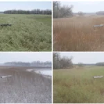 У Берліні показали відеоінсталяцію про наслідки підриву Каховської ГЕС