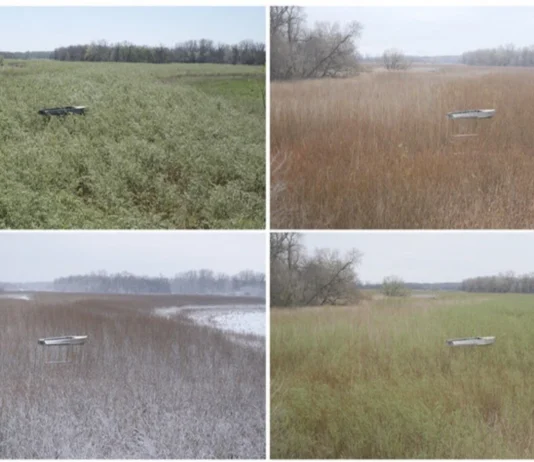 У Берліні показали відеоінсталяцію про наслідки підриву Каховської ГЕС