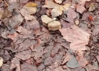 Зафіксували нові заміновані території у Херсоні