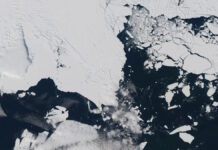 В Антарктиде сотрясается ледник Судного дня: приборы фиксируют сотни толчков