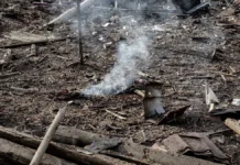 Прокуратура розслідує понад 80 справ про забруднення повітря на Херсонщині