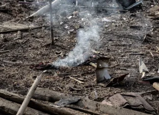 Прокуратура розслідує понад 80 справ про забруднення повітря на Херсонщині