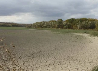 Херсонщина отримує міжнародну підтримку для відновлення зрошувальних систем