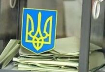 Экс-заместитель председателя ЦИК: «Референдум о мире» является скорее политической метафорой, чем определенным правовым инструментом