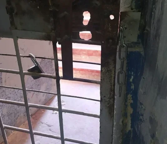 Сімом працівникам окупаційної Голопристанської виправної колонії на Херсонщині повідомили про підозри