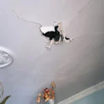 На Херсонщині внаслідок обстрілів армії РФ загинула жінка, ще двоє людей поранені