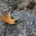 Яка погода очікується в Херсоні та області 30 січня 2026 року?