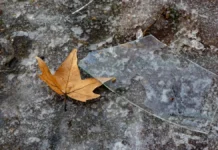 Яка погода очікується в Херсоні та області 30 січня 2026 року?