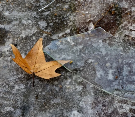 Яка погода очікується в Херсоні та області 30 січня 2026 року?