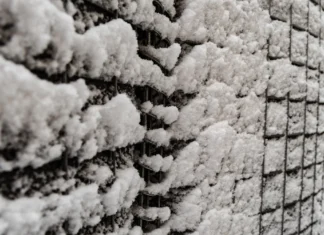 Яка погода очікується в Херсоні та області 12 січня 2026 року?