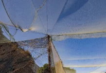 Херсон посилює захист доріг антидроновими сітками