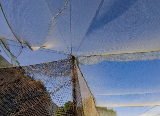 Херсон посилює захист доріг антидроновими сітками