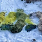 На Херсонщині інспектори вилучили сітки на річці Інгулець і склали протоколи на продавців риби без документів