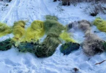 На Херсонщині інспектори вилучили сітки на річці Інгулець і склали протоколи на продавців риби без документів