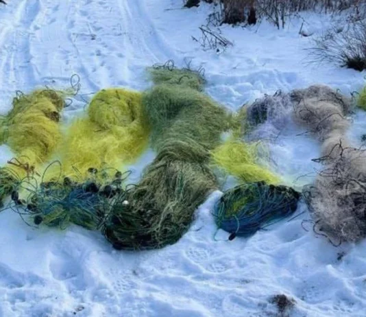 На Херсонщині інспектори вилучили сітки на річці Інгулець і склали протоколи на продавців риби без документів