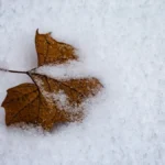 У Херсоні зафіксували перший температурний рекорд 2026 року