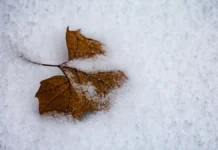 У Херсоні зафіксували перший температурний рекорд 2026 року