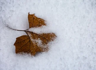 У Херсоні зафіксували перший температурний рекорд 2026 року