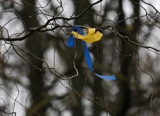 На підконтрольну Україні територію повернули чотирьох дітей
