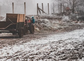 На лівобережжі Херсонщини окупанти виявляють майно, яке нібито раніше належало українським олігархам та фермерам