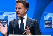 Рютте о ситуации вокруг Гренландии: НАТО обсуждает шаги по усилению безопасности в Арктике