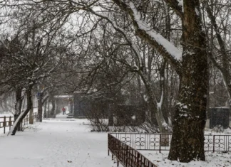 Яка погода очікується в Херсоні та області 5 січня 2026 року?