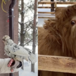 3 секретных места под Киевом, где от красоты перехватывает дыхание (фото)