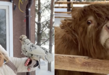 3 секретных места под Киевом, где от красоты перехватывает дыхание (фото)