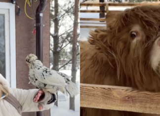 3 секретных места под Киевом, где от красоты перехватывает дыхание (фото)