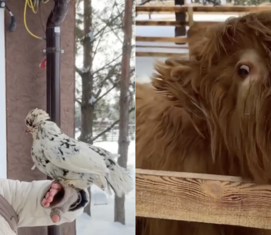 3 секретных места под Киевом, где от красоты перехватывает дыхание (фото)