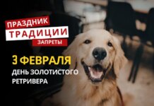 3 февраля: какой сегодня праздник, традиции и запреты