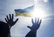 Антихрупкость Украины: как мы адаптировались к тому, что казалось невозможным