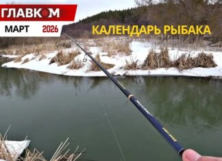 Календарь рыбалки на март 2026 года: когда и на что лучше всего клюет