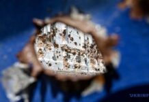 На Херсонщині за добу від російських ударів одна людина загинула і четверо поранені