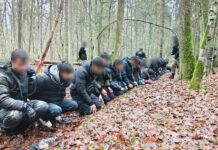 Польша обнаружила тайные подземные тоннели на границе с Беларусью, — The Telegraph