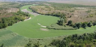 Збитки, завдані екосистемам нацпарку «Кам’янська Січ», оцінили у понад сто мільярдів гривень