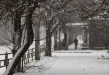 Яка погода очікується в Херсоні та області 11 лютого 2026 року?