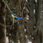 З окупованої Херсонщини повернули двох підлітків