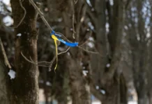 З окупованої Херсонщини повернули двох підлітків