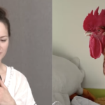 «Он нас пасет»: украинка живет в квартире с петухом Цыпой (видео)