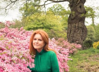 «Женись на мне»: бывшая жена принца Эндрю писала письма Эпштейну