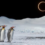 Землю ждет затмение «огненного кольца»: лучшие места для наблюдения достанутся пингвинам