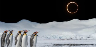Землю ждет затмение «огненного кольца»: лучшие места для наблюдения достанутся пингвинам