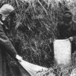 Как готовили Голодомор: кампания по раскулачиванию украинского села