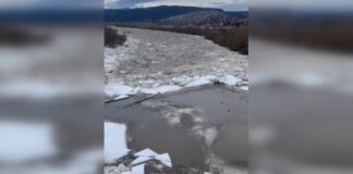 Лед тронулся: на реке Днестр начался ледоход (видео)