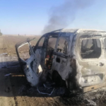 На Херсонщині через агресію РФ знищено понад 5 тисяч гектарів заповідника “Кам’янська Січ”